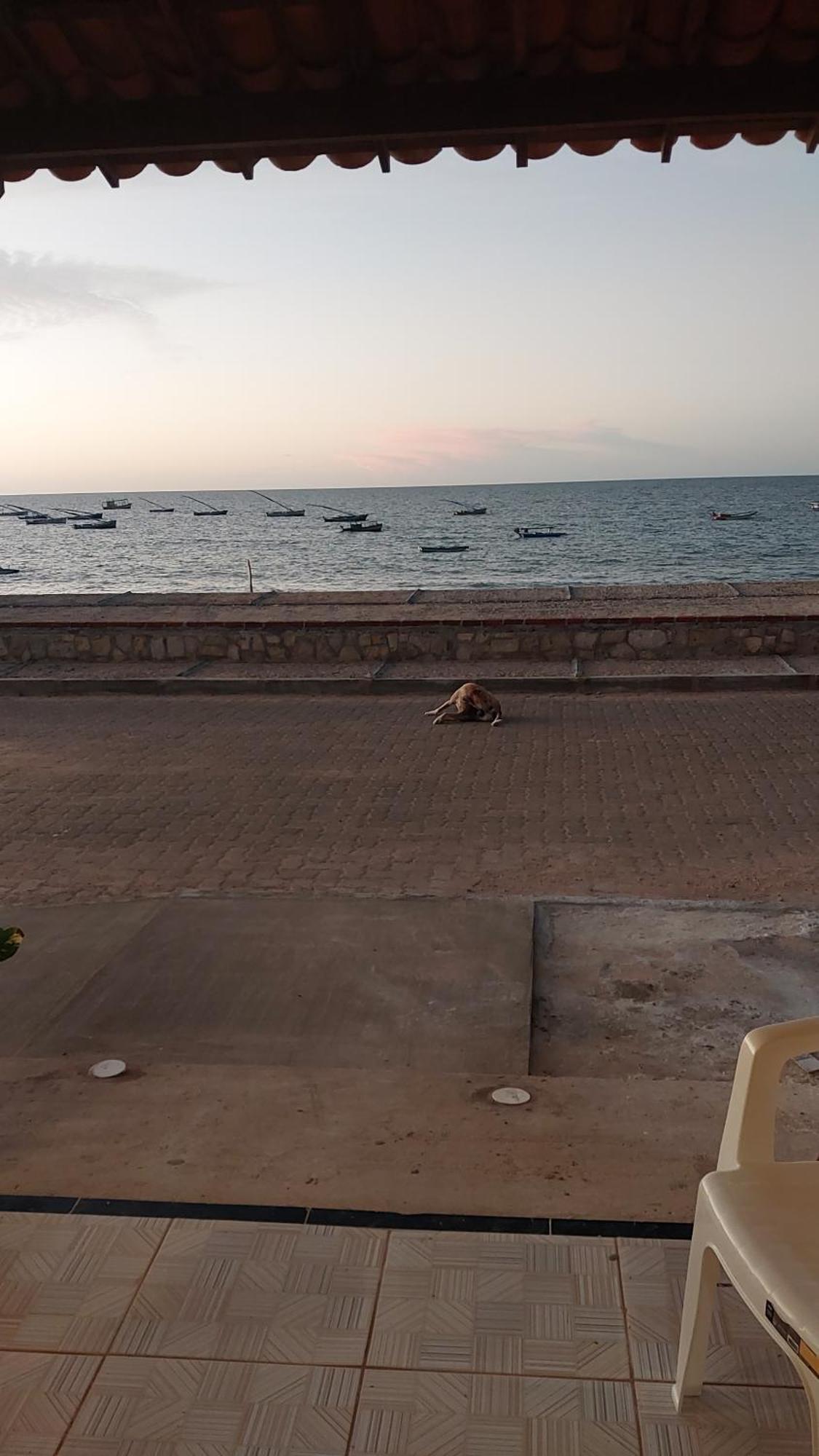 Chales Canto Do Mar Redonda Dış mekan fotoğraf